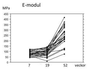 I humana hälsenerupturer verkar läkningen prioritera kvantitet före kvalitet: Det nytillkomna materialets styvhet (E-modul) ökar inte alls från 7 till 19 veckor efter skadan (patienter utan träning fram till vecka 7).